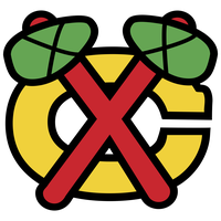 Brudenell Black Hawks logo
